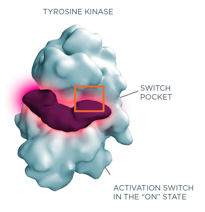 An activation switch in the 'on' state and switch pocket in a tyrosine kinase