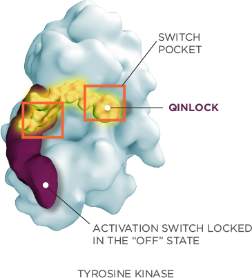 Tyrosine Kinase